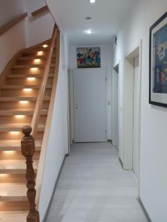 Adasflats Goose - Bremen - 2