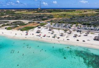 Caribbean Palm Village Resort - Palm-Eagle Beach - 7