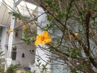 Mansão na Serra de Guaramiranga - 6