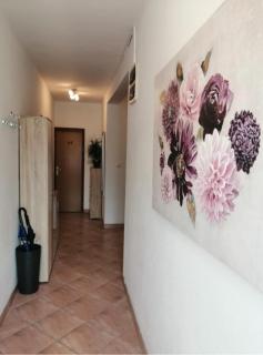 Apartman Luka - Zadar - 9