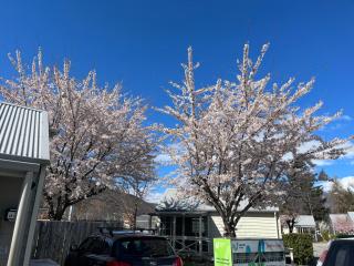 Hampshire Holiday Parks - Arrowtown - Arrowtown - 6