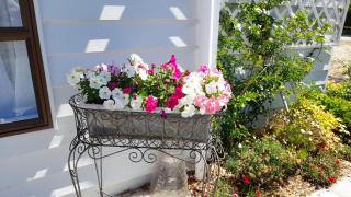 Wharfe Cottage - Wellsford - 2