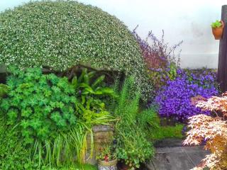 Kay's Cottage - Buckfastleigh - 6