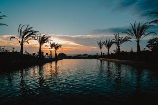 BOTANICAL POOL CLUB - 1