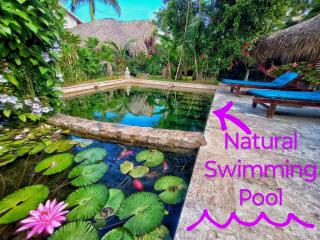 Dream Glamping Jungle Bohio - Las Terrenas - 3