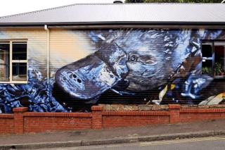 Platypus Cottage Watch them play from the garden - 3