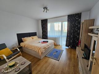 Elena's Studio Brasov Coresi - Brasov - 7