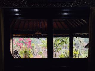 Juna’s house - 5