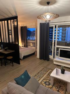 Studio centre-ville, proche des thermes - Thonon-les-Bains - 8
