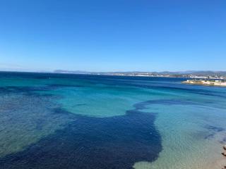 Penthouse au dessus de la mer - Six-Fours-les-Plages - 5