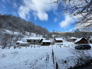 Casa- viata la tara - 5