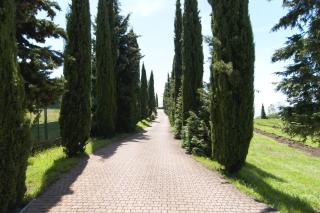 Hotel Mariano - Gargnano - 7