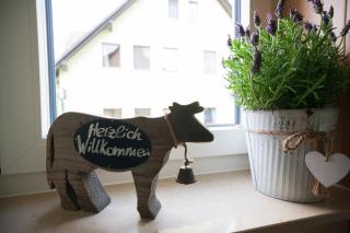 Ferienhaus OG1 "Westerwald Blick" - Martinfeld - 5