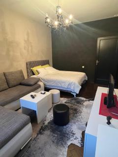 CentarBg Lux apartment - Belgrado - 5