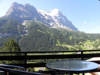 Hotel Tschuggen - Grindelwald - 8