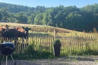 Appartement dans un joli village Limousin - Vicq-sur-Breuilh - 3