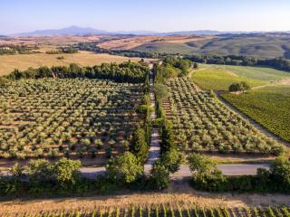 Agriturismo Pometti - Fattoria La Selva - Trequanda - 8