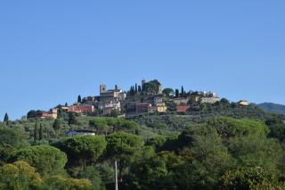 Da Poldino - Borgo a Buggiano - 4