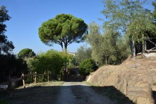 Da Poldino - Borgo a Buggiano - 1
