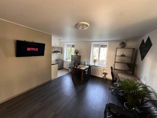 Comfy apartment in the center - Chişinău - 0