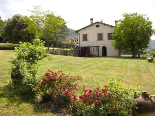 SCAPPO IN UMBRIA, La cantinetta - 3