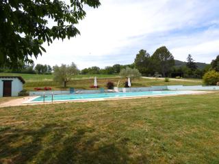 SCAPPO IN UMBRIA, La cantinetta - 6