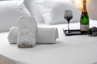 Luxury Suite in Downtown - 2