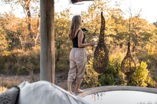 Nsala Wilderness Camp - Timbavati Game Reserve - 1