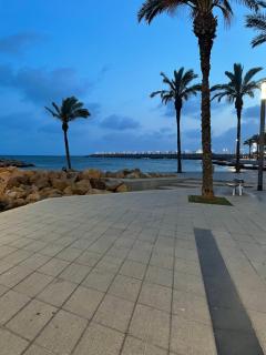 Au cœur de torreveija - Torrevieja - 1