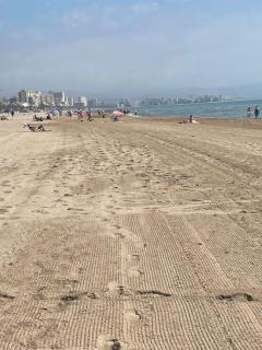 Au cœur de torreveija - Torrevieja - 2