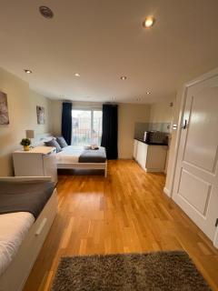 Stunning House 15 min from Wembley arena - 4
