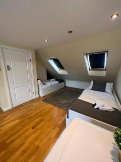 Stunning House 15 min from Wembley arena - 2