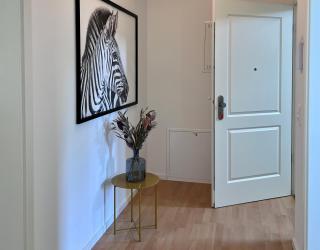 *NEU* 2 Zi, offene Küche, Balkon - Pirna - 7