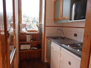 Studio divisible 4 pers, centre station, balcon sud, proche pistes, animaux admis - FR-1-181-2699 - La Plagne Tarentaise - 4
