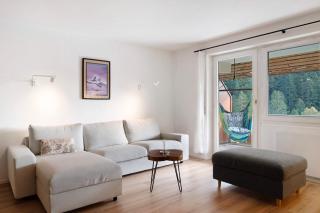 Panorama Apartment Todtmoos - 9