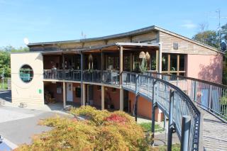 Camping les Acacias - Altkirch - 9