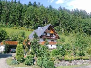 Waldbauernhof - Hornberg - 9