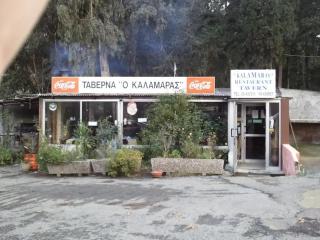Beautiful 3 Bedr House in Arakapas with fireplace - Arakapas - 7