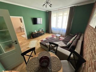 Asha Central Apartment - Timişoara - 9