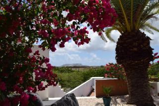 Saint Joris a tiny Boutique Resort - Willemstad - 9