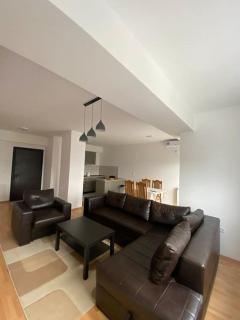 DavIv Luxury Apartment - Escópia - 2