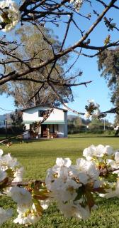 POSADA EL ROMANCE - Tandil - 0