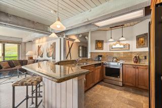 Enclave 205, Snowmass Ski-In/Ski-Out Condo w/Shared Pool/Hot Tub/Gym/WiFi - 1