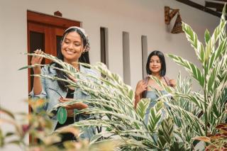 Muyuterra - Moyobamba - 3