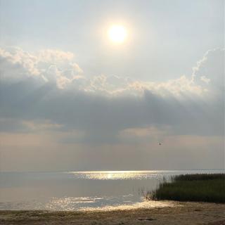 Ferienhaus am Gutspark 3, Klausdorf, ca 250 m bis zur Badestelle - Klausdorf - 3