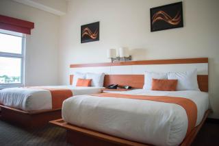 Los Herederos Hotel Piedras Negras - Piedras Negras - 0