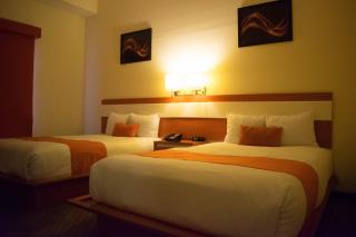Los Herederos Hotel Piedras Negras - Piedras Negras - 2