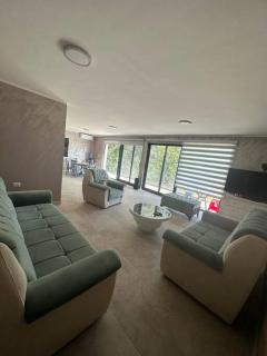FamilyHouse and Houseboat GaPeDi SAVA - Belgrado - 8