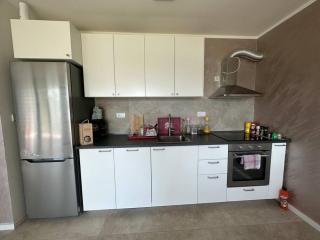 FamilyHouse and Houseboat GaPeDi SAVA - Belgrado - 5