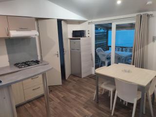 Mobil-Home 6 personnes avec TV et clim N' B025 - Boofzheim - 4